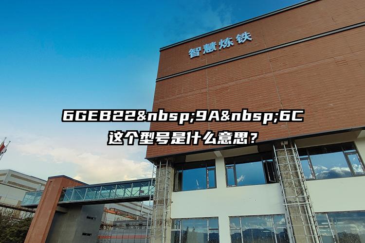 6GEB22 9A 6C这个型号是什么意思？