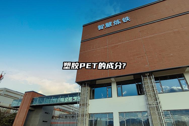 塑胶PET的成分?