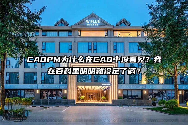 CADPM为什么在CAD中没看见？我在百科里明明就设定了啊？