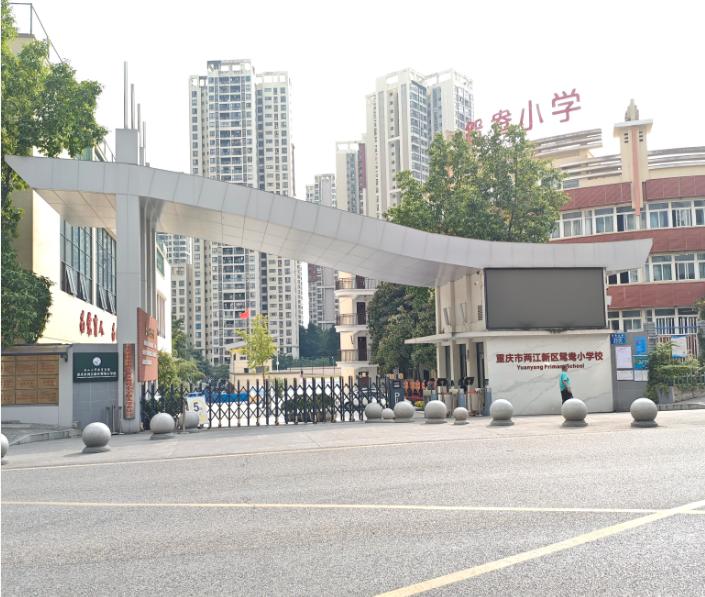 鸳鸯小学铝合金门窗进场验收纪实